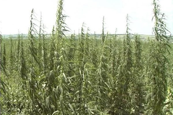 Кракен ссылка онлайн