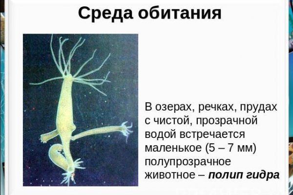 Сайт кракена актуальный