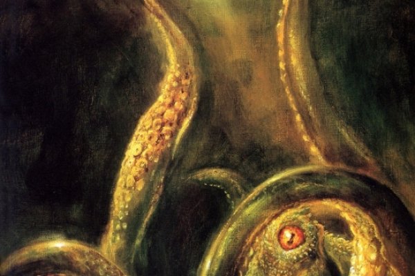Kraken 15 at