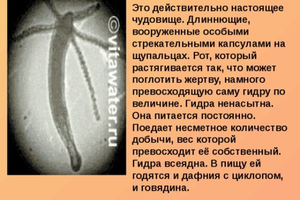 Гидра сайт в тор браузере ссылка