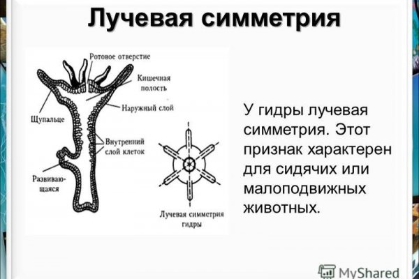 Ссылки на кракен at
